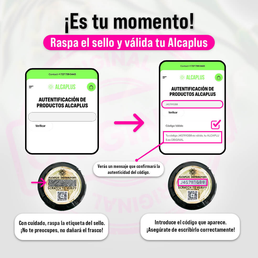 KIT X 1 PASTILLAS ALCAPLUS